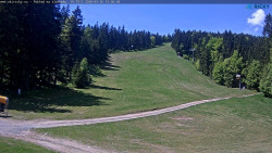 Slalomka