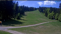 Slalomka