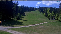 Slalomka