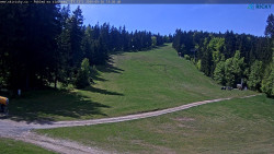 Slalomka