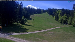 Slalomka