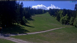 Slalomka