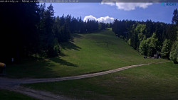 Slalomka