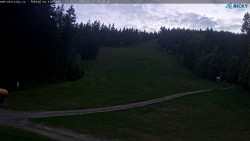 Slalomka