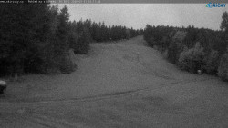 Slalomka
