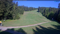 Slalomka
