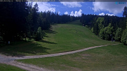 Slalomka