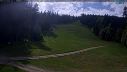 Slalomka