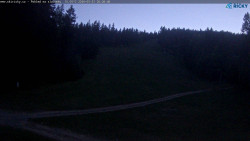 Slalomka