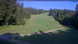 Slalomka