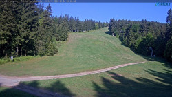 Slalomka