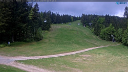 Slalomka