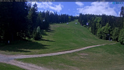 Slalomka