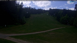 Slalomka