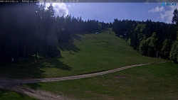 Slalomka