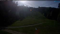 Slalomka