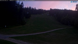 Slalomka