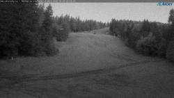 Slalomka
