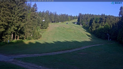 Slalomka