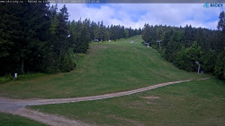 Slalomka