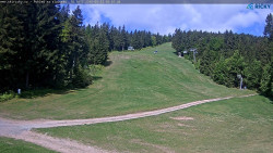 Slalomka