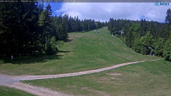 Slalomka