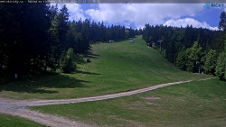 Slalomka