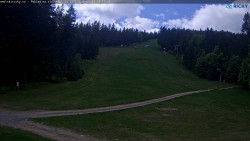 Slalomka