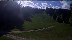 Slalomka