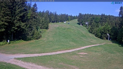 Slalomka