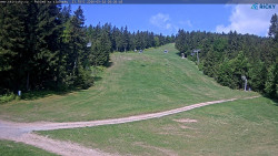 Slalomka