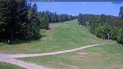 Slalomka