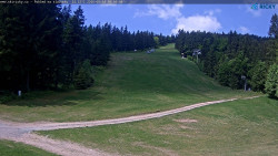 Slalomka