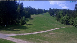 Slalomka
