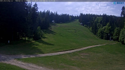 Slalomka