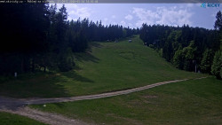 Slalomka