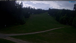 Slalomka