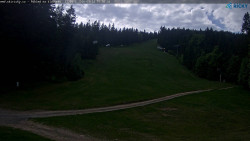 Slalomka