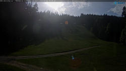 Slalomka