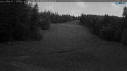 Slalomka