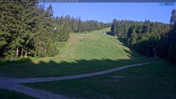 Slalomka