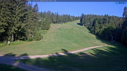 Slalomka
