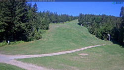 Slalomka