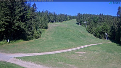 Slalomka