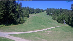 Slalomka