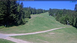 Slalomka