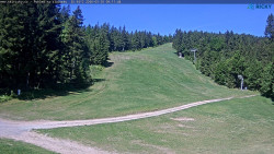 Slalomka