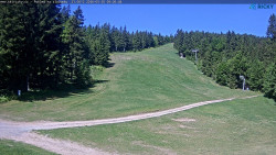 Slalomka