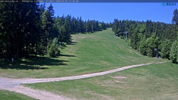 Slalomka