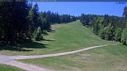 Slalomka